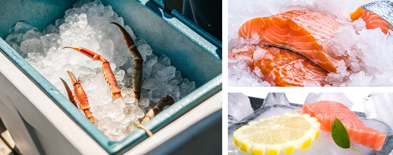 مجمدات المأكولات البحرية